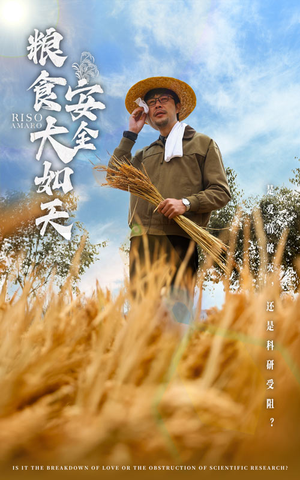 粮食安全大如天（43集） 在哪里看