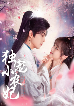 独宠小农妃（63集） 热门短剧榜单