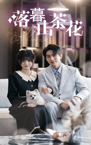 落幕山茶花（50集） 短剧分享片段