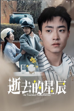 逝去的星辰（31集） 看到大结局