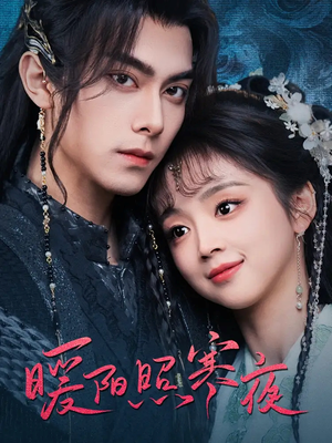 暖阳照寒夜（68集） 热门了短剧