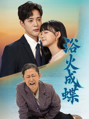 浴火成蝶（51集） 去哪里看