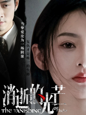 消逝的光芒（55集） 视频在线看