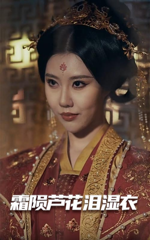 霜陨芦花泪湿衣（60集） 演的怎么样