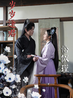 岁岁逢君恰似瑾（100集） 看过的人都说好