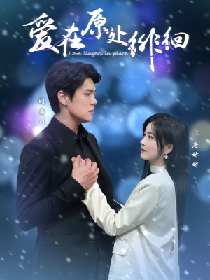 爱在原处徘徊（30集） 最后的大结局