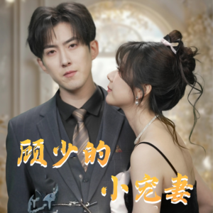 顾少的小宠妻（90集）第一季