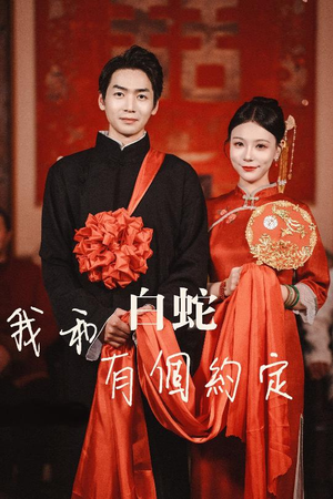我和白蛇有个约定（65集）热门短剧追到爽