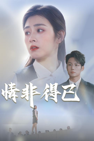 情非得已（30集）评价怎么样