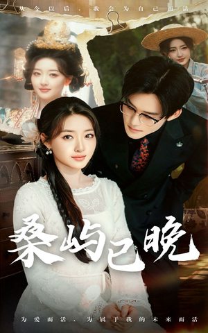 桑屿已晚（60集） 视频在线看