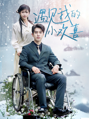 遇见我的小欢喜（70集） 短剧上热门