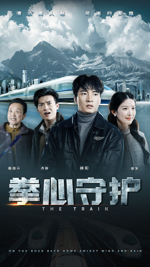 拳心守护（28集） 大结局