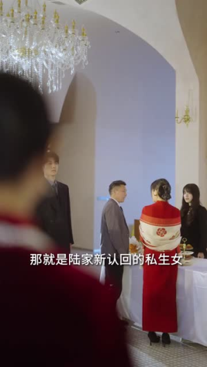 暗里沉迷（41集）在线免费观看