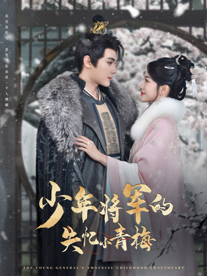 少年将军的失忆小青梅（100集）精彩好看短剧