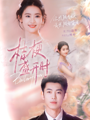 桔梗盛开时（92集）短剧全集免费看