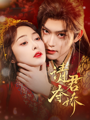 请君夺娇（71集）短剧热播抢先看