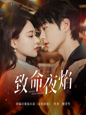 致命夜焰（80集）夸克在线观看