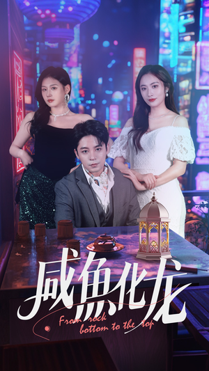 咸鱼化龙（30集） 在线播放