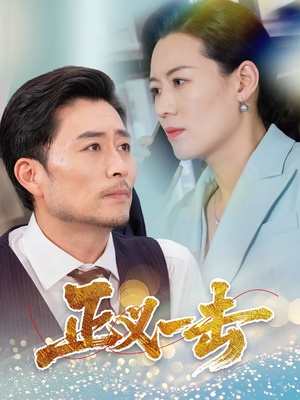 正义一击（60集） 全集一网打尽