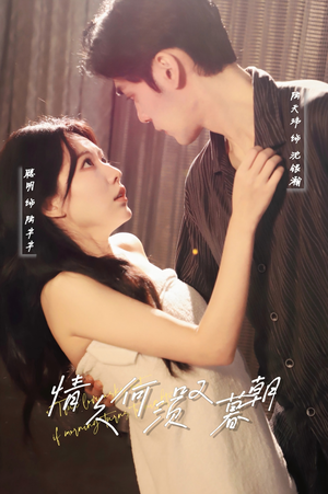 情久何须叹暮朝（61集） 温柔追捕短剧