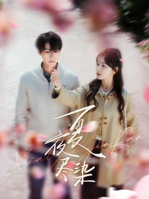 夏夜尽染（80集） 短视频追剧推荐