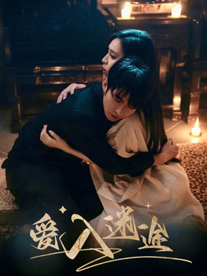 爱入迷途（67集）全集完整版