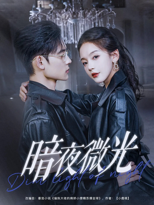 暗夜微光（86集）全网独播免费看
