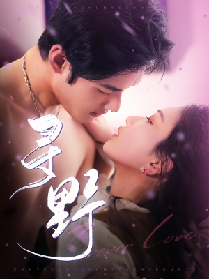 寻野（100集）精彩好看的短剧