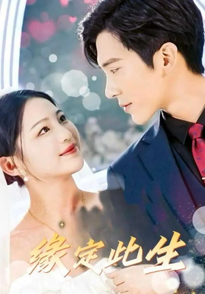 缘定此生（87集）短剧在哪个平台