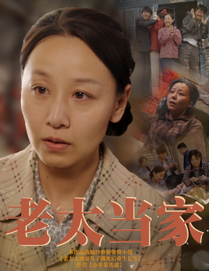 老太当家（60集）红果短剧看全集