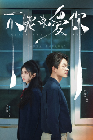 不能说爱你（64集）精彩短剧看全集