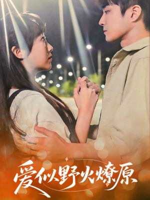 爱似野火燎原（47集）在哪里可以看