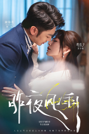 昨夜风雨（63集）热播短剧追不停