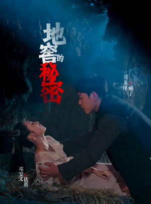 地窖的秘密（40集）一口气看完