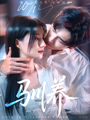 驯养（96集）在哪个平台能看