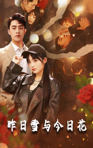 昨日雪与今日花（81集）精彩热门短剧
