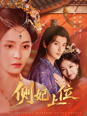 侧妃上位（80集）在线免费观影