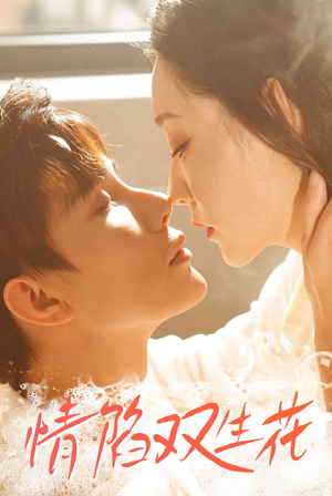 情陷双生花（30集）火爆短剧抢先看
