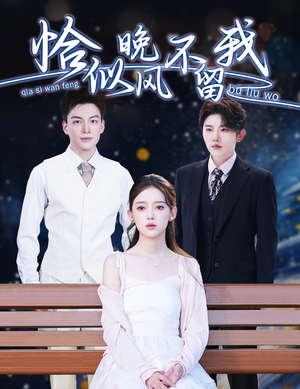 弃他如风（51集）免费短剧大全