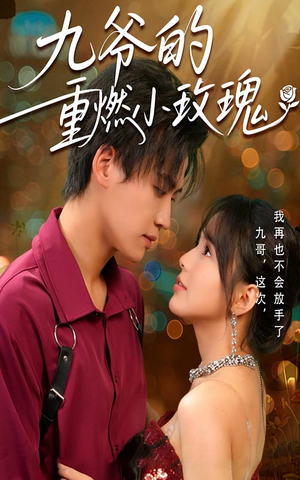 九爷的重燃小玫瑰（67集）短剧解说热门