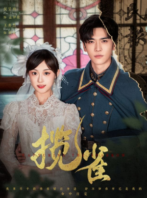 揽雀（61集）好看的短剧电影