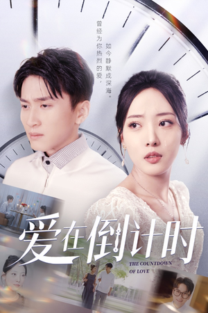 爱在倒计时（30集）全集