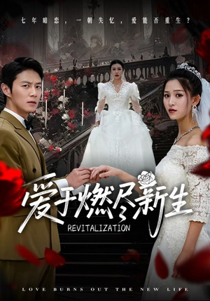 爱于燃尽新生（49集）不用花钱看全剧