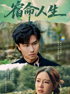 宿命人生（60集）这短剧太好看了