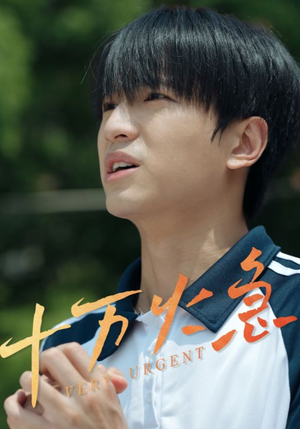 十万火急（30集）排行榜前十短剧