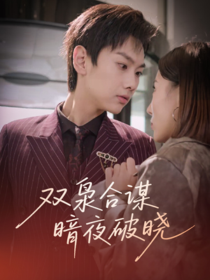 双枭合谋暗夜破晓（30集）真的太精彩了