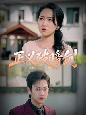 正义破暗剑（31集）一口气看完全集