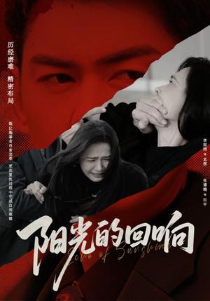 阳光的回响（50集）更新时间一览表