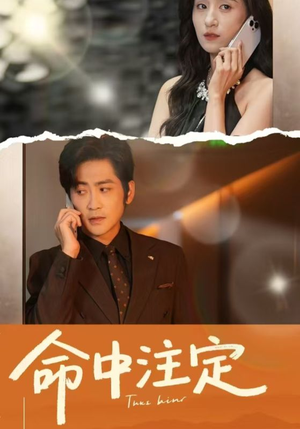 命中注定（33集）高清无码免费看
