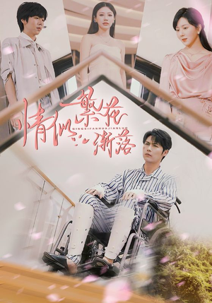 情似繁花渐落（62集）高清无码免费看